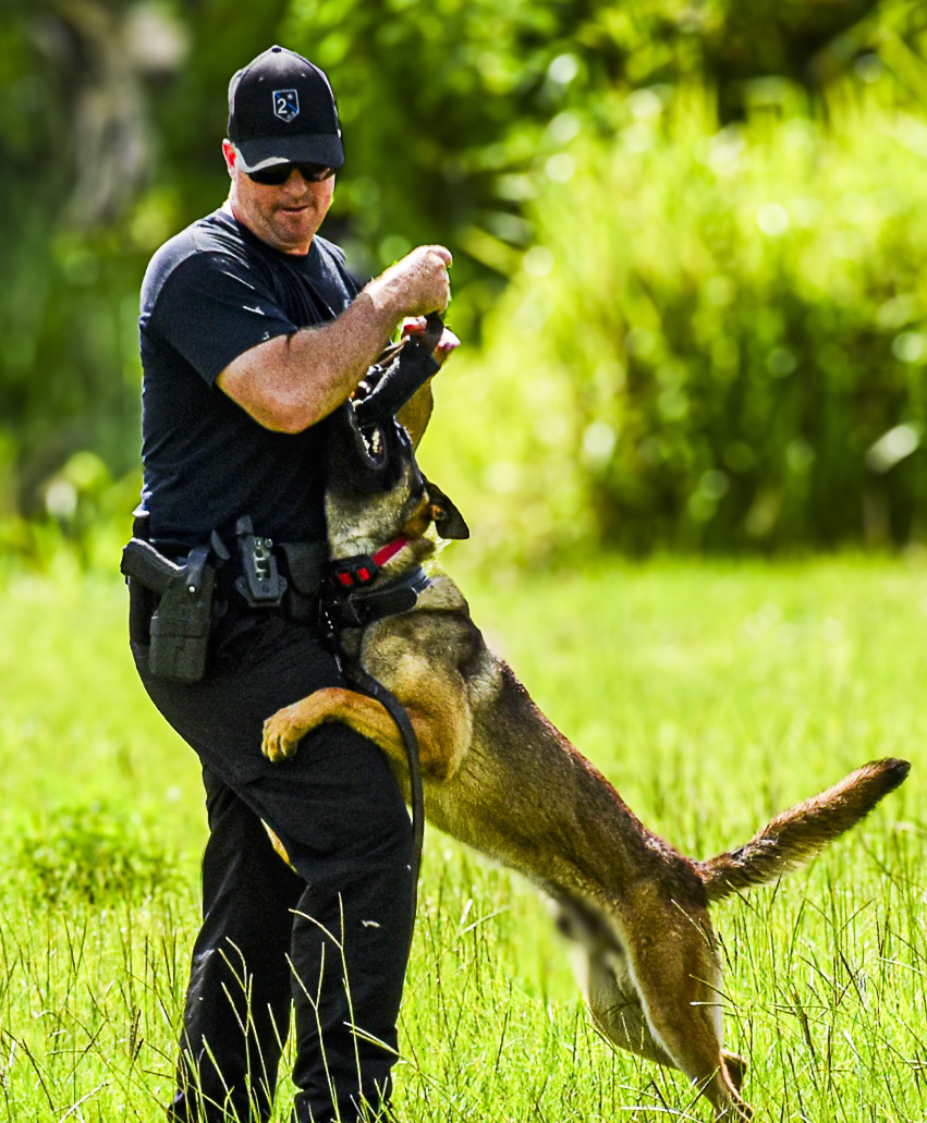 K9 Chip